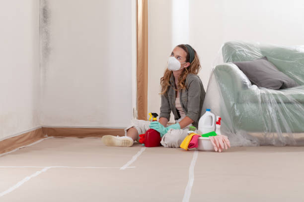 Reliable Black Mold Removal contractor in Winthrop, MN by WQB Mold Removal